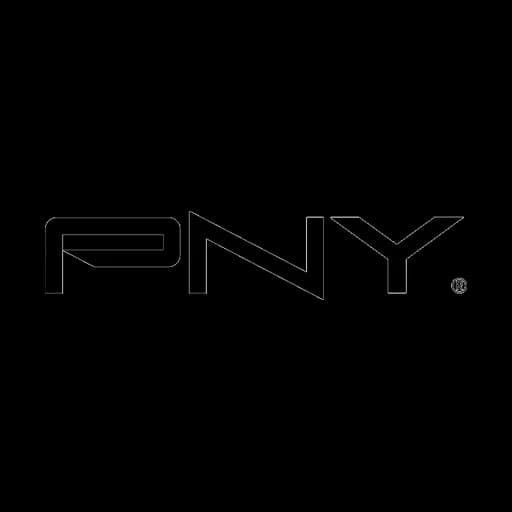 PNY's Logo